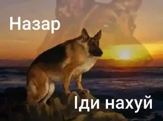 🙂 emoji Та пішли ви всі н@#√й Telegram sticker 3 of 53