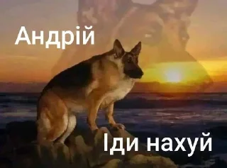 🙂 emoji Та пішли ви всі н@#√й Telegram sticker 4 of 53