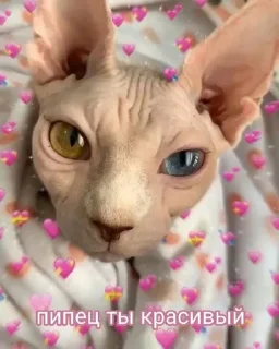 🥰 emoji для любви 2 Telegram sticker 23 of 120