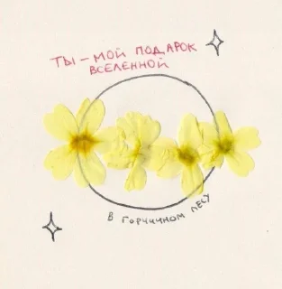 tenderness sticker 1