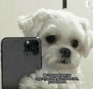 ☺️ emoji для любви 2 Telegram sticker 6 of 120
