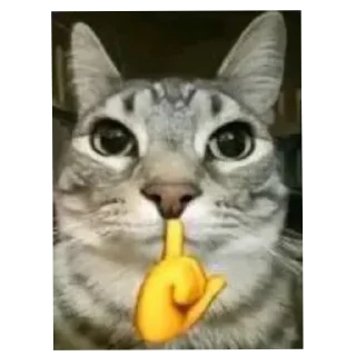 🐱 emoji Ждём тебя в @Kotitube Telegram sticker 2 of 82