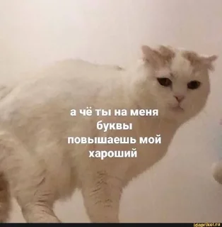 😕 emoji biч Telegram sticker 16 of 36