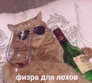 🍷 emoji biч Telegram sticker 22 of 36