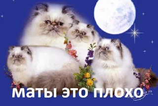 😡 emoji пикчи из чата Telegram sticker 6 of 36