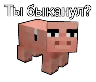 🤨 emoji Сообщение из чата ОвИНитА Telegram sticker 14 of 53