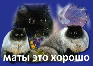😎 emoji пикчи из чата Telegram sticker 5 of 36
