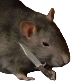🐁 emoji slay — @stckrRobot Telegram sticker 24 of 115