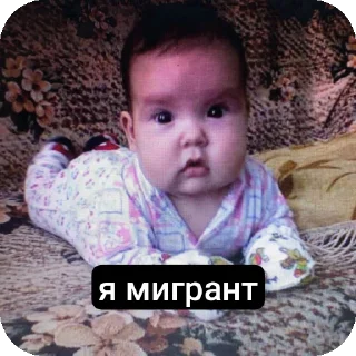 Sticker from GDE PAPA