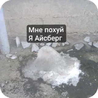 🥸 emoji Жизненная жизнь Telegram sticker 1 of 27