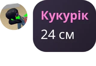 🚤 emoji семейство кукуриков pack by @QuotLyBot Telegram sticker 6 of 31