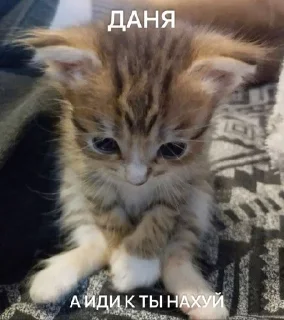 Sticker from нунихуясебе