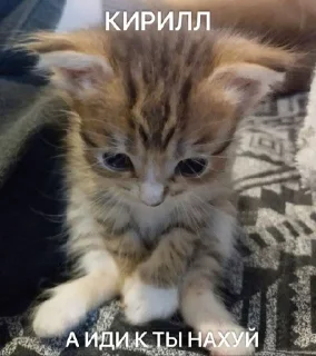 Sticker from нунихуясебе
