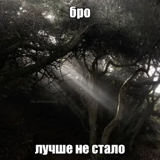 Sticker from щп