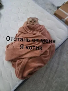 Sticker from Вася @tgfonts_bot