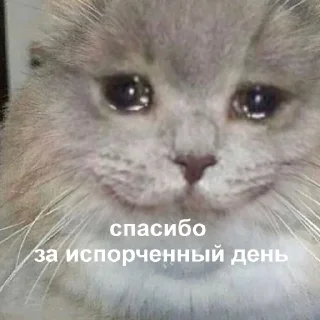 Sticker from Чтоо??