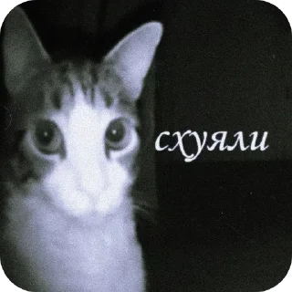 Sticker from Игорь лох
