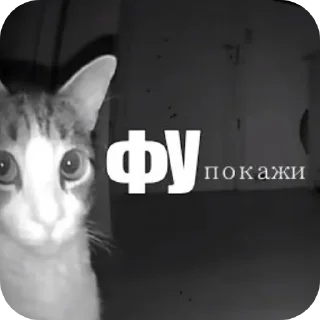 Sticker from Игорь лох