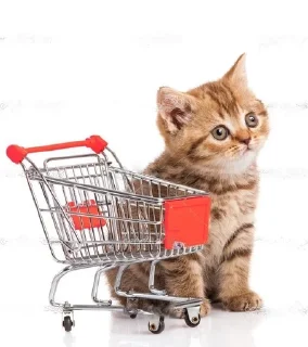 🐈 emoji Кисики Telegram sticker 23 of 31