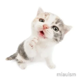 🌟 emoji Кисики Telegram sticker 17 of 31