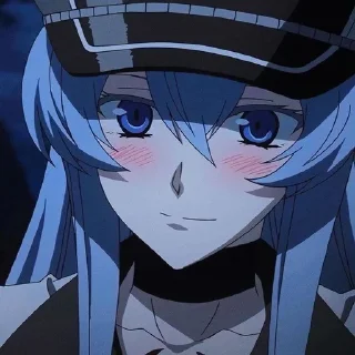 Sticker from Esdeath💙