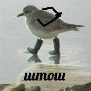 Sticker from Ты ещё не сдох?