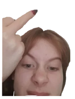 🖕 emoji VLADLEN I EVO DRUZUA Telegram sticker 1 of 61