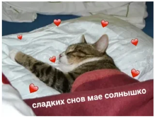 Sticker from 💖💖💖
