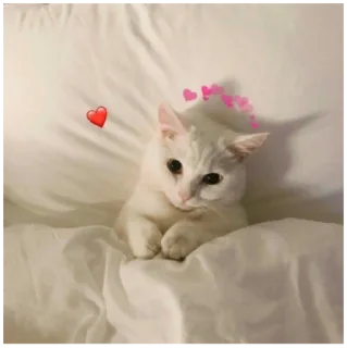 Sticker from 💖💖💖