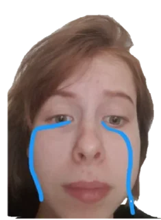 😭 emoji VLADLEN I EVO DRUZUA Telegram sticker 2 of 61