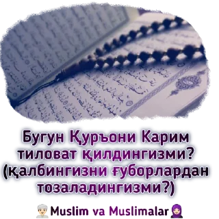 🤔 emoji Muslim va muslimalar Telegram sticker 12 of 29