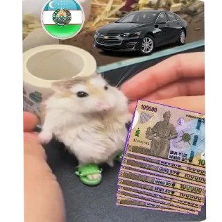 😎 emoji @RICHST1 VA @Rustambekovs_crypto @A50887 Telegram sticker 9 of 12