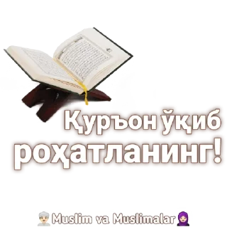 📖 emoji Muslim va muslimalar Telegram sticker 13 of 29
