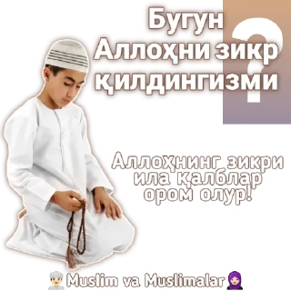 🤔 emoji Muslim va muslimalar Telegram sticker 8 of 29