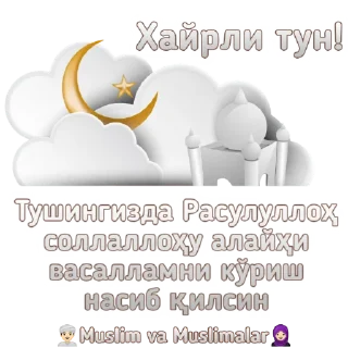 😴 emoji Muslim va muslimalar Telegram sticker 22 of 29