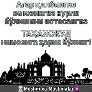 😴 emoji Muslim va muslimalar Telegram sticker 21 of 29