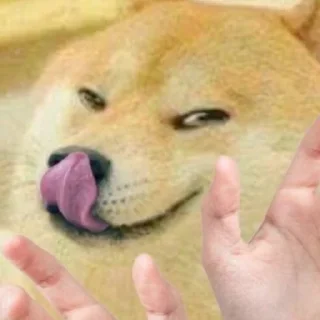 Sticker from Randomny meme (+sacabambaspis)
