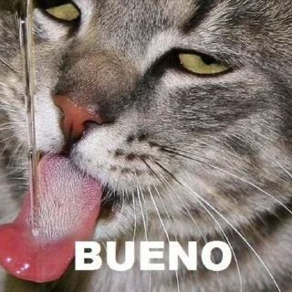 Sticker from Randomny meme (+sacabambaspis)