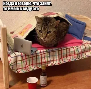 🤗 emoji БОЛЬШЕ ⇨ @CLOOBHUB МЕМЫ СТИКЕРЫ Telegram sticker 19 of 120