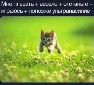 🐱 emoji БОЛЬШЕ ⇨ @CLOOBHUB МЕМЫ СТИКЕРЫ Telegram sticker 16 of 120