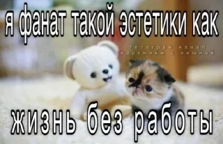 😇 emoji БОЛЬШЕ ⇨ @CLOOBHUB МЕМЫ СТИКЕРЫ Telegram sticker 7 of 120