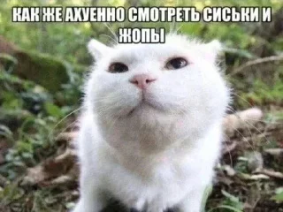 😍 emoji БОЛЬШЕ ⇨ @CLOOBHUB МЕМЫ СТИКЕРЫ Telegram sticker 13 of 120