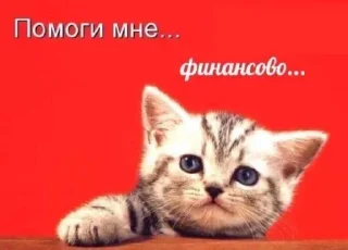 🥺 emoji БОЛЬШЕ ⇨ @CLOOBHUB МЕМЫ СТИКЕРЫ Telegram sticker 22 of 120