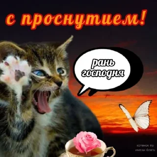 🤯 emoji БОЛЬШЕ ⇨ @CLOOBHUB МЕМЫ СТИКЕРЫ Telegram sticker 15 of 120