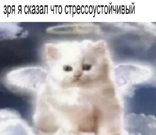 Sticker from БОЛЬШЕ ⇨ @CLOOBHUB МЕМЫ СТИКЕРЫ
