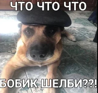 🧢 emoji БОЛЬШЕ ⇨ @CLOOBHUB МЕМЫ СТИКЕРЫ Telegram sticker 11 of 120