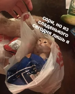 Sticker from алло?да