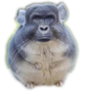 Sticker from Глебургер🤏🤏