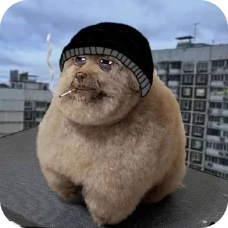 Sticker from Глебургер🤏🤏