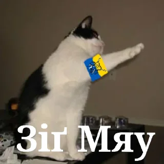 Sticker from Котячий Рейх